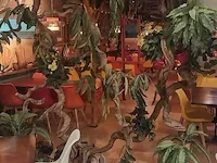Kunstboom met groot bladerdak brandvertragend geïmpregneerd - afbeelding 23 van  26