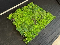 Kunsthaag wand paneel (10x) - afbeelding 2 van  11