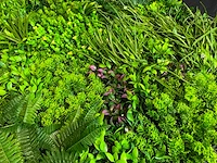 Kunsthaag wand paneel (2x) - afbeelding 4 van  11