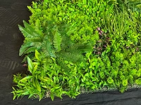 Kunsthaag wand paneel (2x) - afbeelding 5 van  11