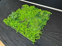 Kunsthaag wand paneel (2x) - afbeelding 9 van  11