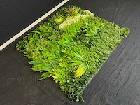 Kunsthaag wand paneel (2x) - afbeelding 12 van  14