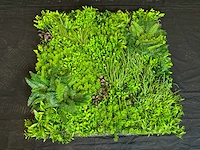 Kunsthaag wand paneel (2x) - afbeelding 2 van  11