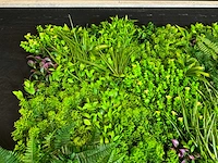 Kunsthaag wand paneel (2x) - afbeelding 7 van  11