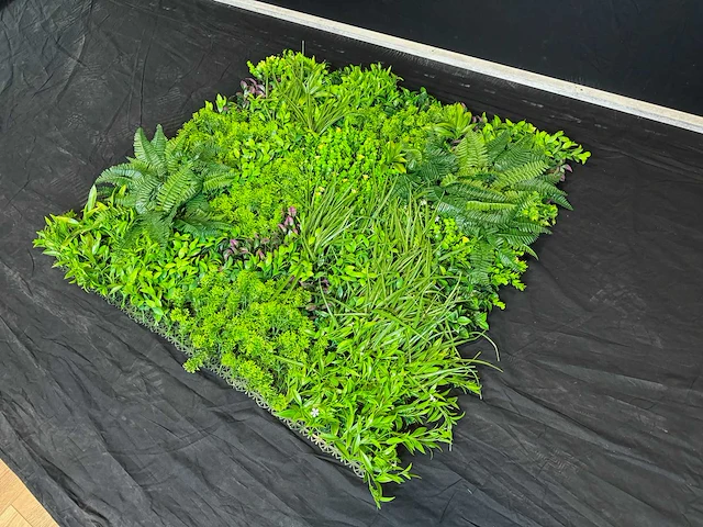 Kunsthaag wand paneel (2x) - afbeelding 9 van  11