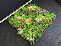 Kunsthaag wand paneel (2x) - afbeelding 11 van  12