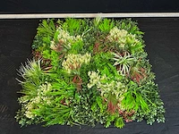 Kunsthaag wand paneel (2x) - afbeelding 9 van  12