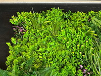 Kunsthaag wand paneel (2x) - afbeelding 9 van  11