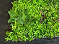 Kunsthaag wand paneel (2x) - afbeelding 7 van  11