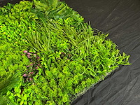 Kunsthaag wand paneel (2x) - afbeelding 8 van  11