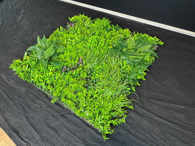 Kunsthaag wand paneel (2x) - afbeelding 11 van  11