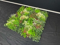 Kunsthaag wand paneel (2x) - afbeelding 2 van  12