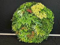 Kunsthaag wand paneel rond (2x) - afbeelding 4 van  11