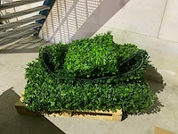 Kunsthaag - afbeelding 1 van  3