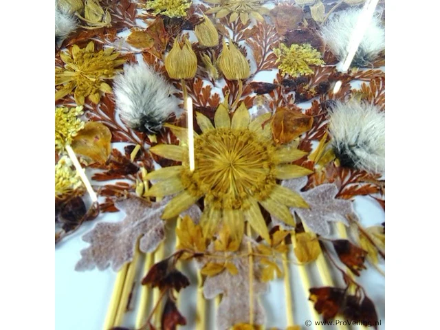 Kunstig van droogbloemen gemaakt kunstwerk - afbeelding 4 van  5