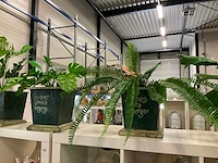 Kunstlanten met pot (8x) - afbeelding 3 van  4