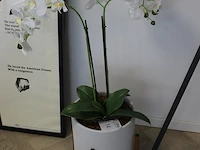 Kunstorchidee in pot. totale hoogte 90cm. - afbeelding 2 van  2
