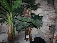 Kunstpalm hoogte 130 cm. - afbeelding 1 van  2