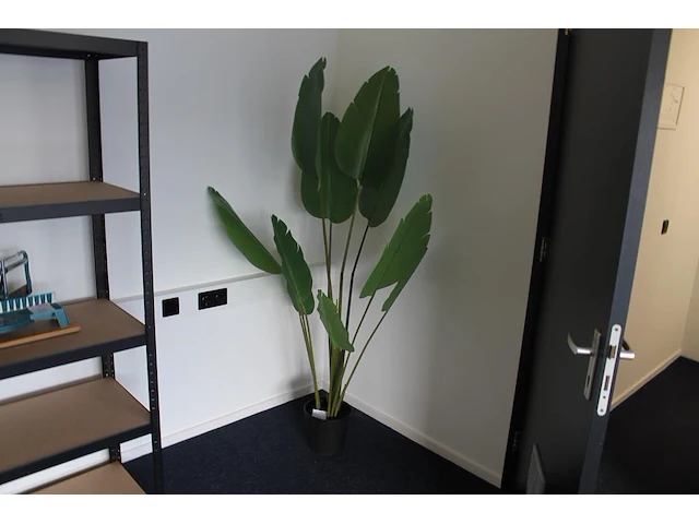 Kunstpalm met hoogte 170 cm. - afbeelding 1 van  2