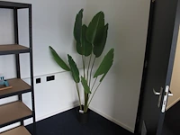 Kunstpalm met hoogte 170 cm. - afbeelding 1 van  2