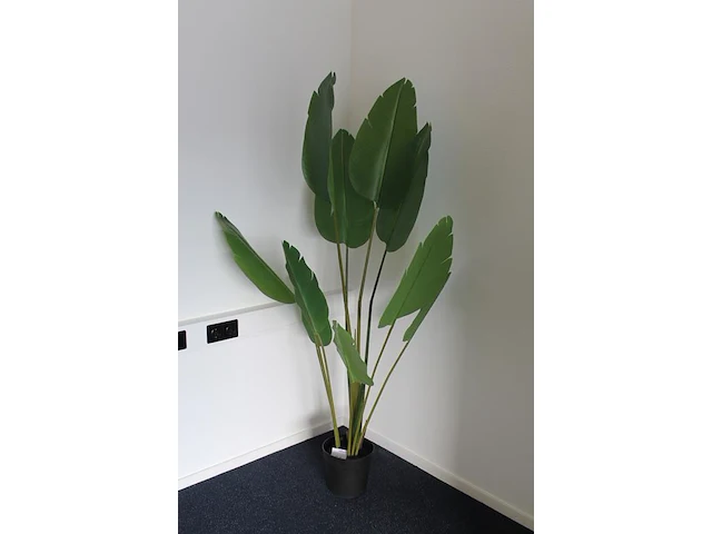 Kunstpalm met hoogte 170 cm. - afbeelding 2 van  2