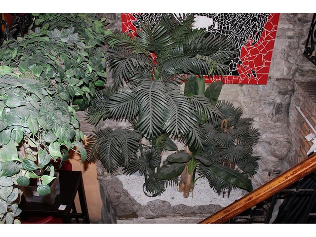 Kunstpalmboom in pot met hoogte 250 cm. - afbeelding 2 van  2