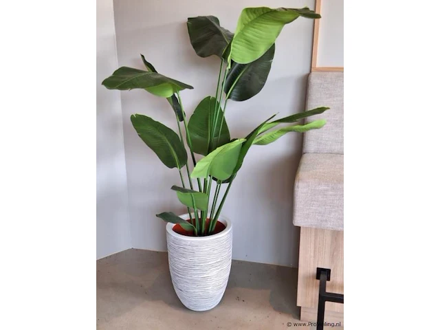 Kunstplant - 160 cm (h) - afbeelding 1 van  3