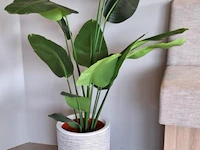 Kunstplant - 160 cm (h) - afbeelding 1 van  3