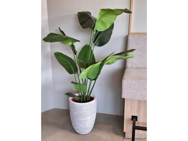 Kunstplant - 160 cm (h) - afbeelding 2 van  3
