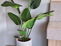 Kunstplant - 160 cm (h) - afbeelding 2 van  3