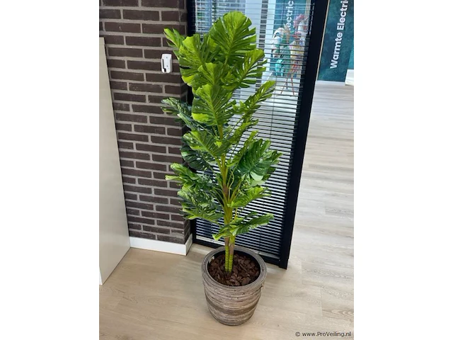 Kunstplant - 170 cm hoog - afbeelding 1 van  2