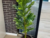 Kunstplant - 170 cm hoog - afbeelding 1 van  2