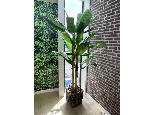 Kunstplant - 230 cm hoog - afbeelding 1 van  2