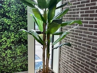 Kunstplant - 230 cm hoog - afbeelding 1 van  2