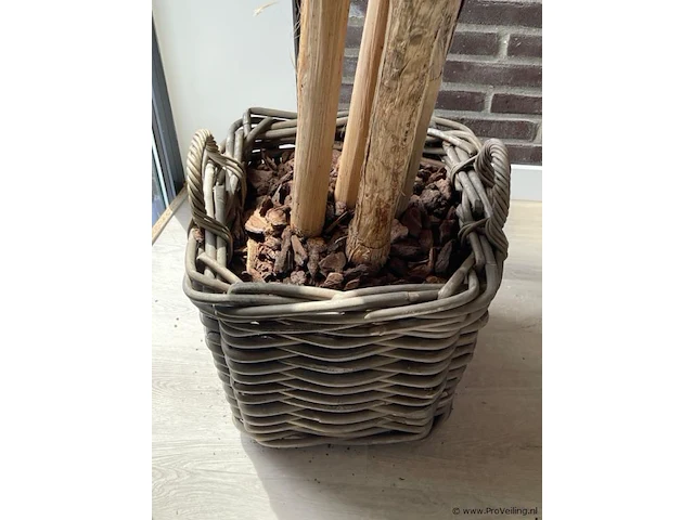 Kunstplant - 230 cm hoog - afbeelding 2 van  2
