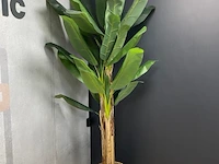 Kunstplant - 230 cm hoog - afbeelding 1 van  2