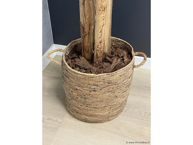 Kunstplant - 230 cm hoog - afbeelding 2 van  2