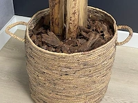Kunstplant - 230 cm hoog - afbeelding 2 van  2