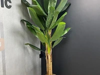 Kunstplant - 230 cm hoog - afbeelding 1 van  2