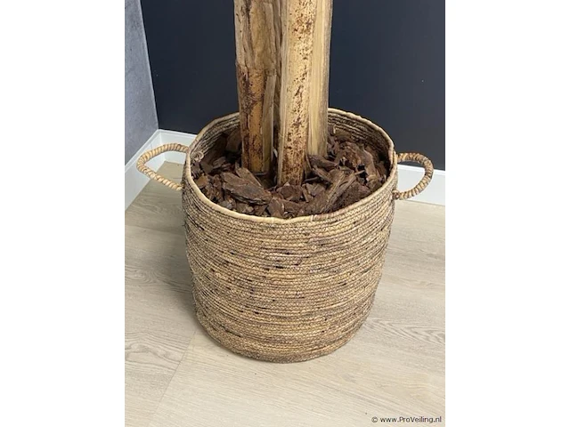 Kunstplant - 230 cm hoog - afbeelding 2 van  2