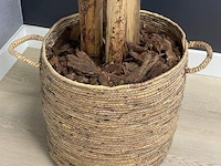Kunstplant - 230 cm hoog - afbeelding 2 van  2