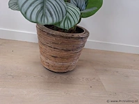 Kunstplant - ca. 130 hoog - afbeelding 3 van  4