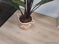 Kunstplant - ca. 160 hoog - afbeelding 2 van  2