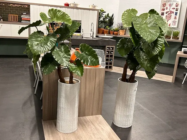 Kunstplant - in pot (2x) - afbeelding 1 van  4