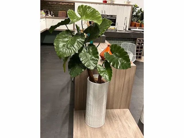 Kunstplant - in pot (2x) - afbeelding 2 van  4