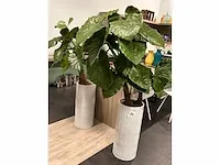 Kunstplant - in pot (2x) - afbeelding 3 van  4