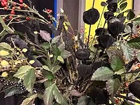 Kunstplant - in pot - afbeelding 3 van  3