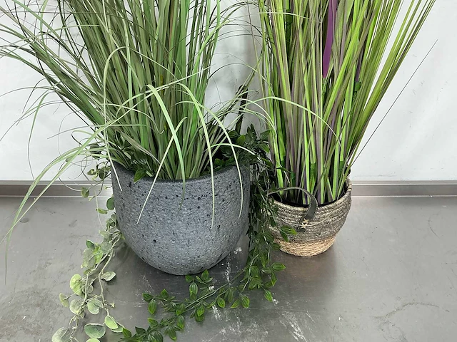 Kunstplant (2x) - afbeelding 2 van  4