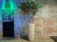 Kunstplant in designvaas - afbeelding 1 van  6