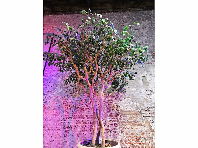 Kunstplant in designvaas - afbeelding 4 van  6